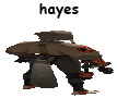 hayes.png