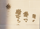 1749155380982.png 1749155380982.png