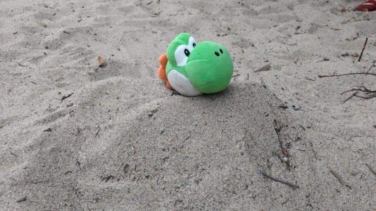 yoshi5.jpg yoshi5.jpg