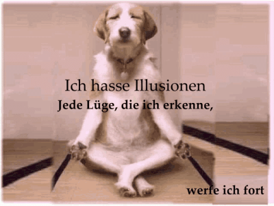 ein-hund-macht-yoga-attentat-von-zug-und-bundes-brief.gif