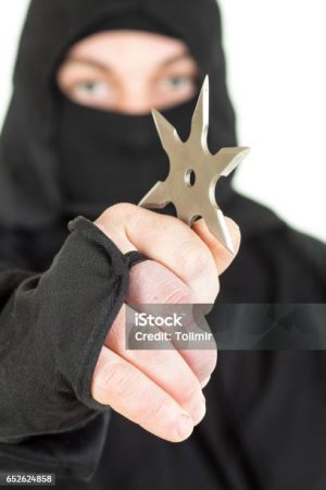 1762639511217.jpeg 1762639511217.jpeg