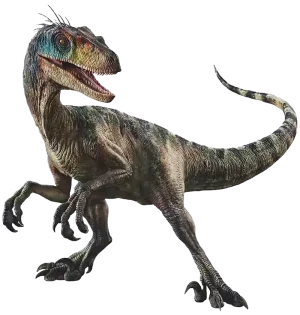 1762721438288.webp 1762721438288.webp