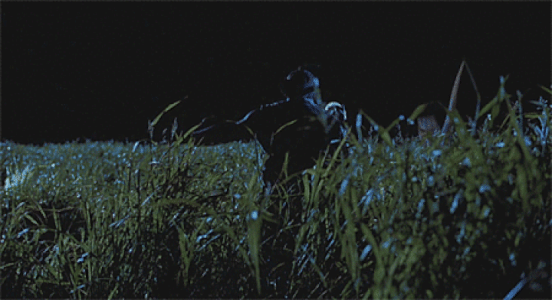 1762739775455.gif 1762739775455.gif