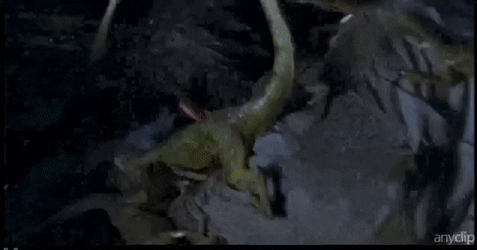 1762739999065.gif 1762739999065.gif