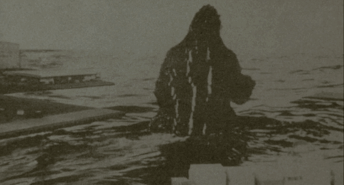 1764044795089.gif 1764044795089.gif