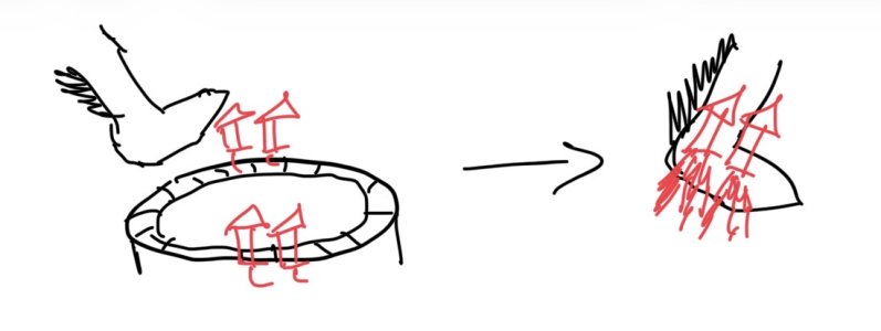 IMG_1400.jpeg IMG_1400.jpeg