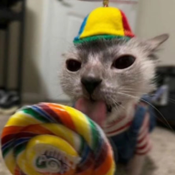 Joey Cheerio