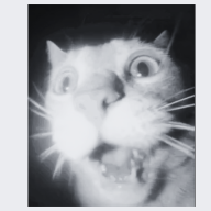Kvilf