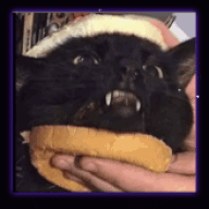 Burgercat