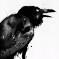 crow_talks