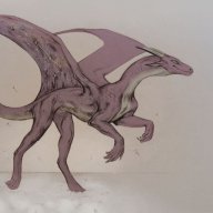 Voidragon