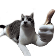 VoOF