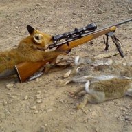 sniperfox.gvc