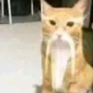 Stezaw
