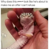 savageacrocanthosaurus