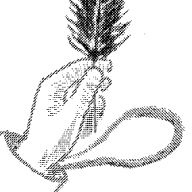 katerkane52