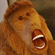 The One True Expert on Video Games