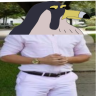 Peregrine_ST