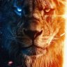 Kingh