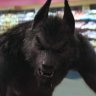 Werewolf