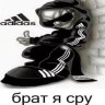 hashixdxdxd
