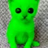 AidenAAAA