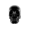 sfwpx23