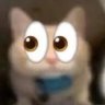 kinqtabby