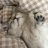 WhyCat