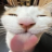 lilliepad