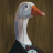 Goos