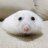 bingle.bimb