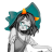 TouringTanuki
