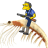 Shrimpopo