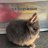 commonbleat
