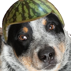 Media 'doubledog.png' in category 'Example category'